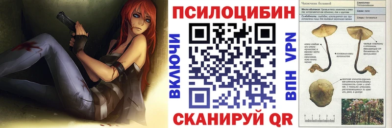 Псилоцибиновые грибы мицелий это как зайти Хадыженск